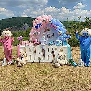 Cinsiyet Partisi Organizasyonu